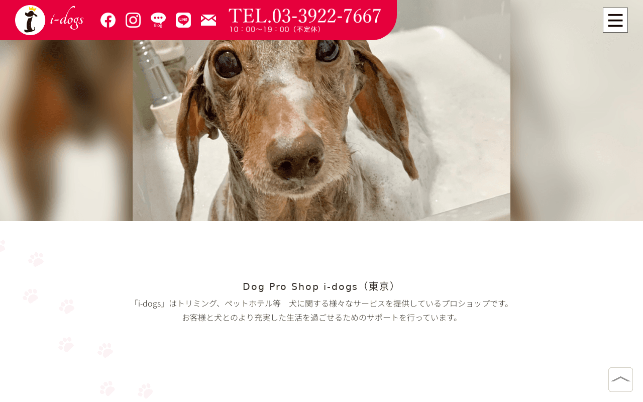 i-dogs