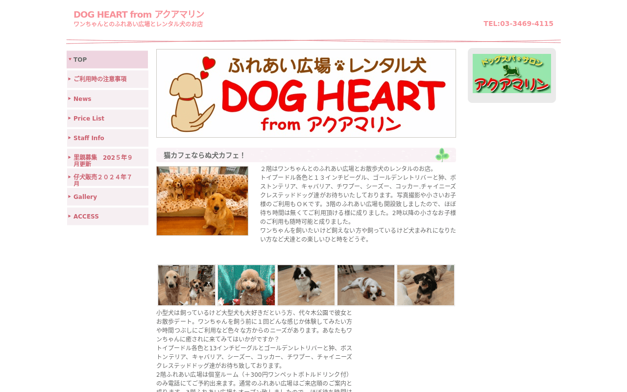 DOG HEART from アクアマリン