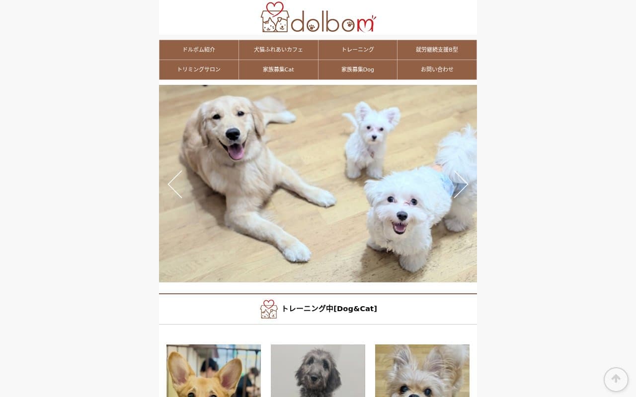 犬と猫ふれあいカフェ Dolbom
