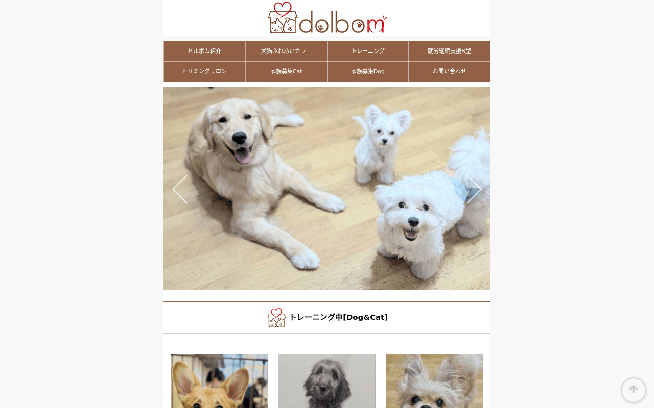 犬と猫ふれあいカフェ Dolbom