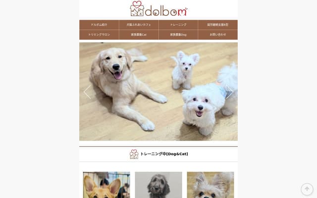犬と猫ふれあいカフェ Dolbom